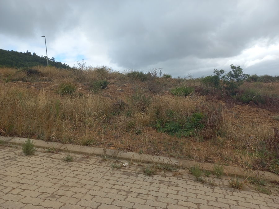 0 Bedroom Property for Sale in Pniel Western Cape